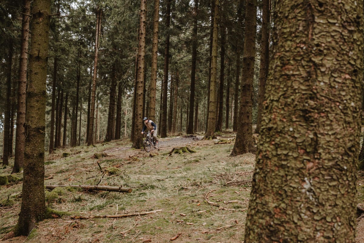 Mountain biker navigating a rugged forest trail surrounded by tall evergreen trees.